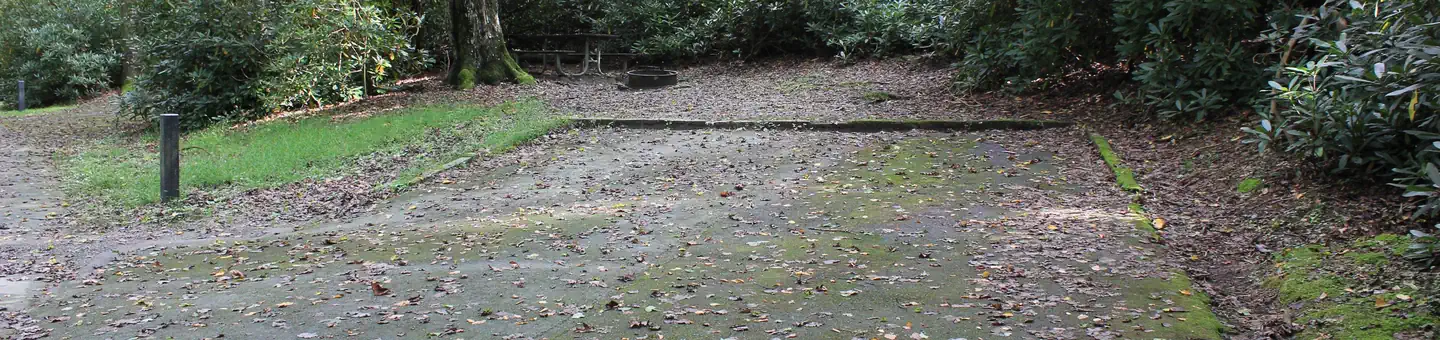Julian Price Park Campground