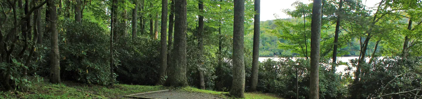 Julian Price Park Campground