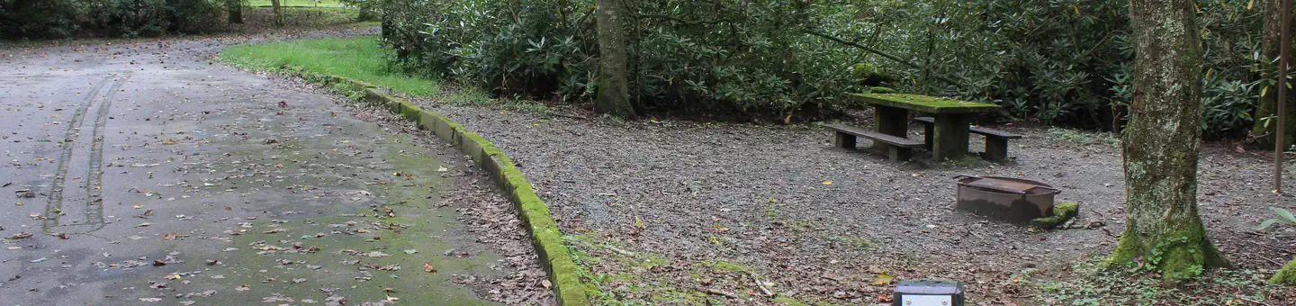 Julian Price Park Campground
