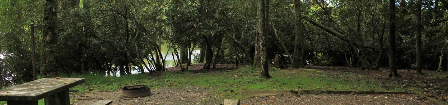 Julian Price Park Campground