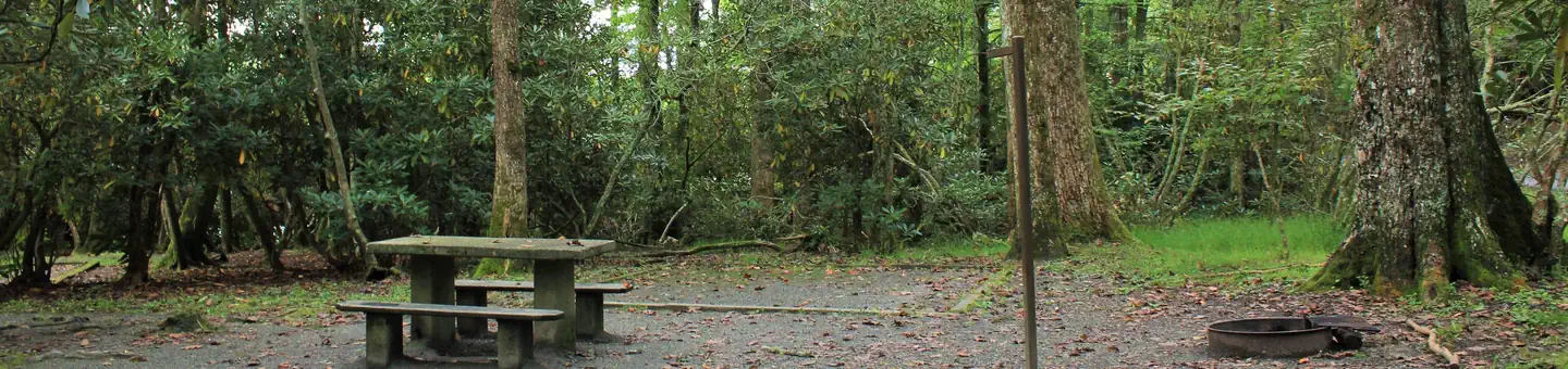 Julian Price Park Campground