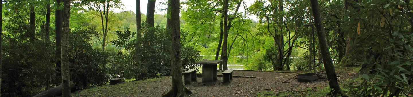 Julian Price Park Campground