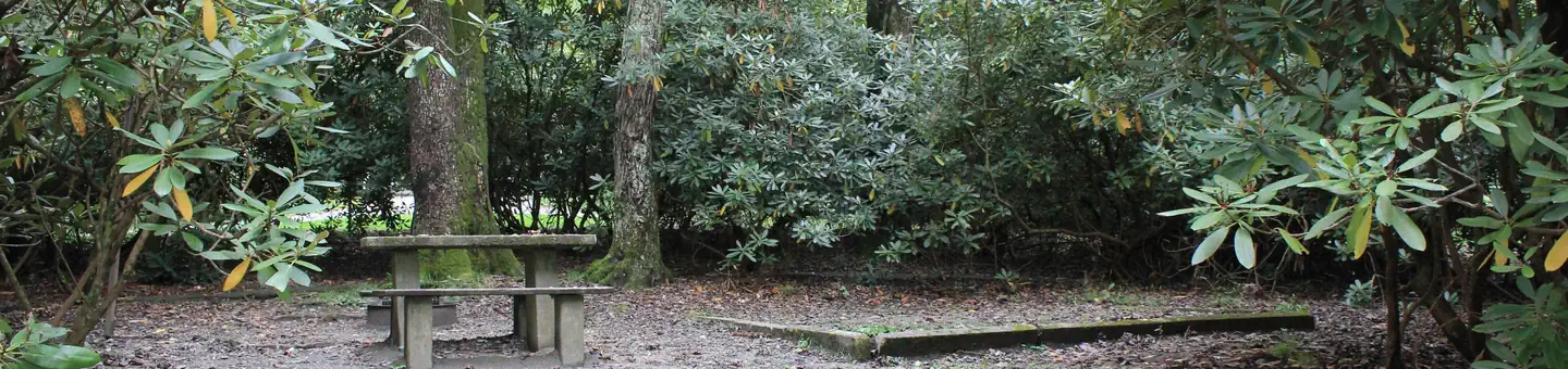 Julian Price Park Campground