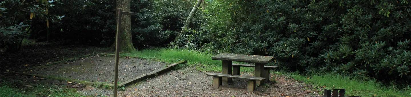 Julian Price Park Campground