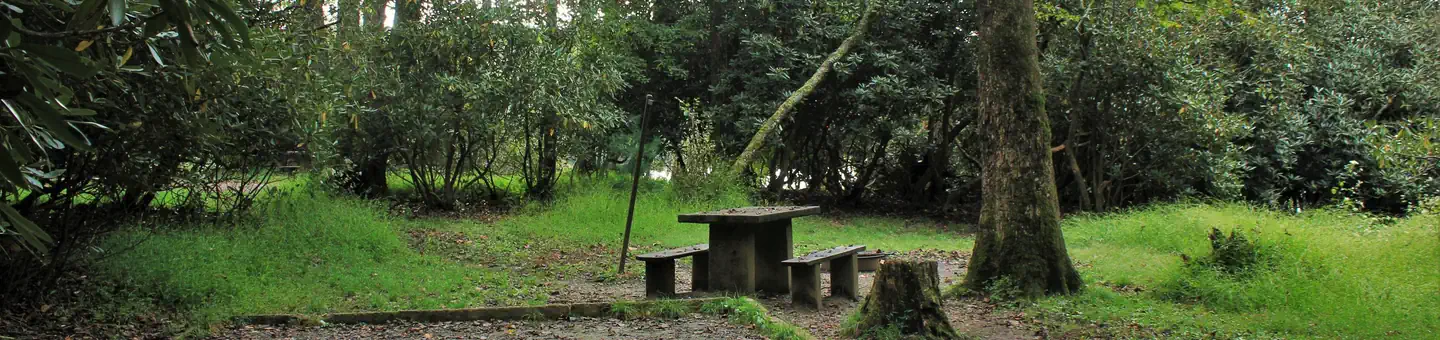 Julian Price Park Campground