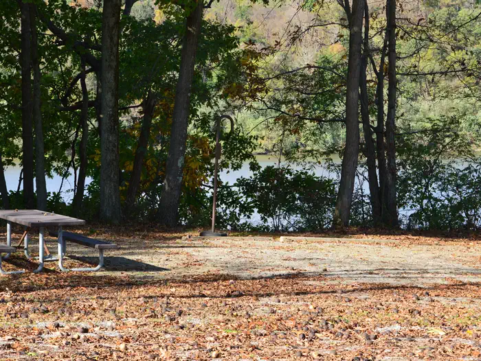 Bush Recreation Area