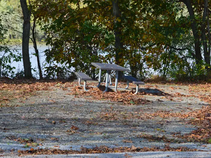 Bush Recreation Area