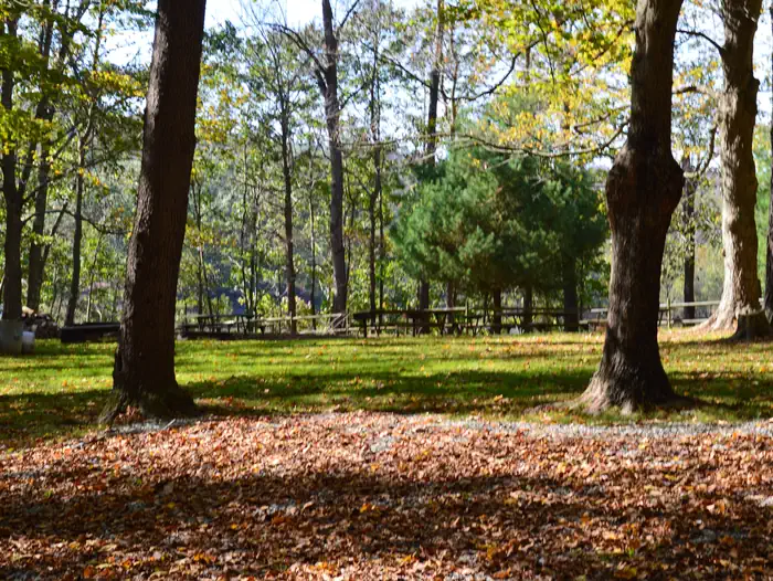 Bush Recreation Area