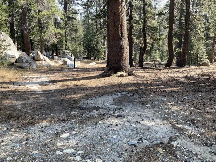 Porcupine Flat Campground
