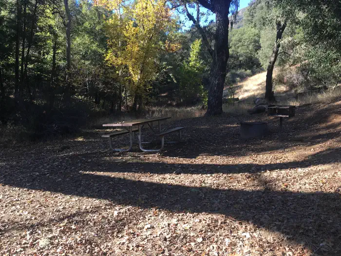 PONDEROSA CAMPGROUND