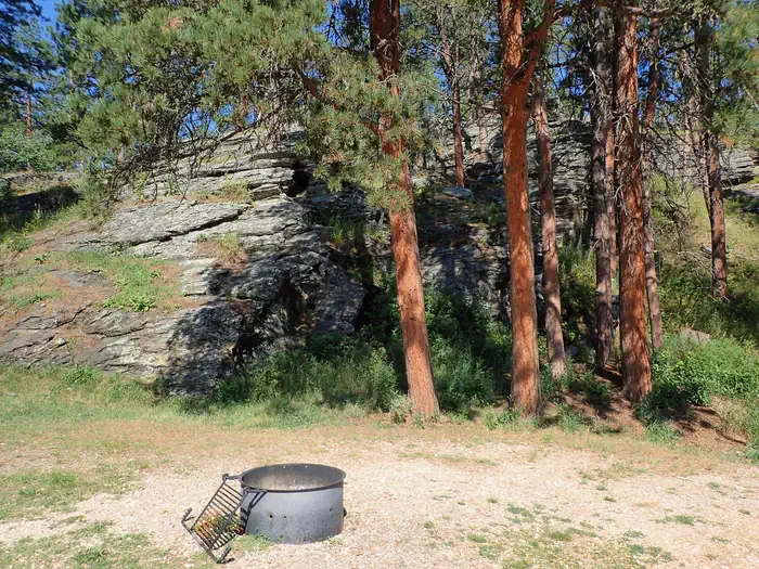 Willow Creek Horse Camp