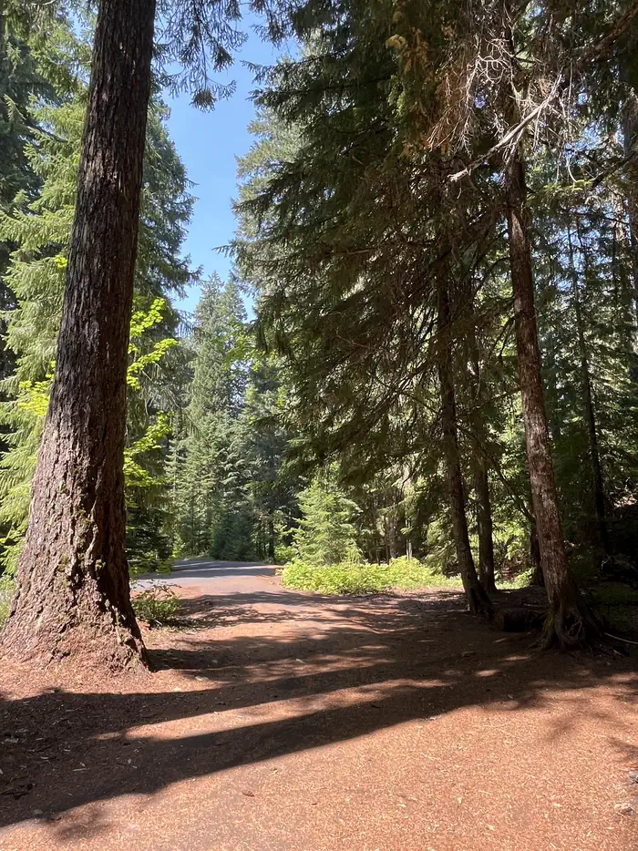Coldwater Cove Campground
