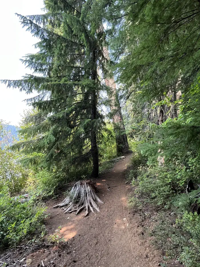 Coldwater Cove Campground