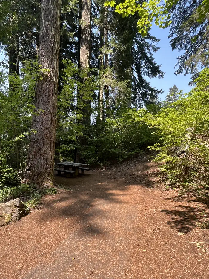 Coldwater Cove Campground