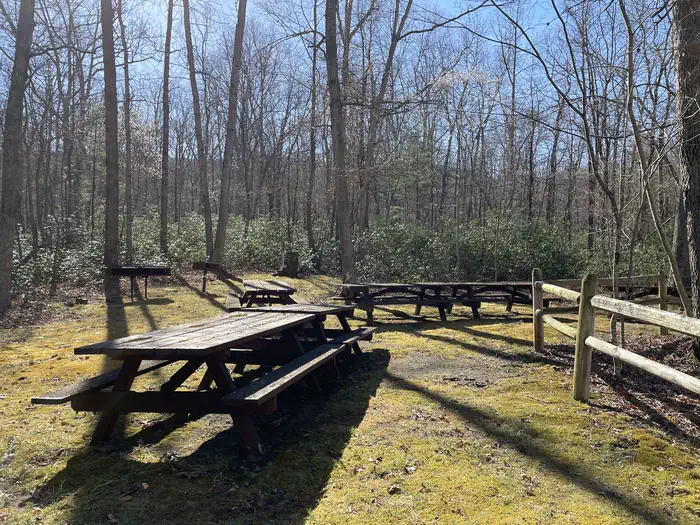 Trout Pond Recreation Area