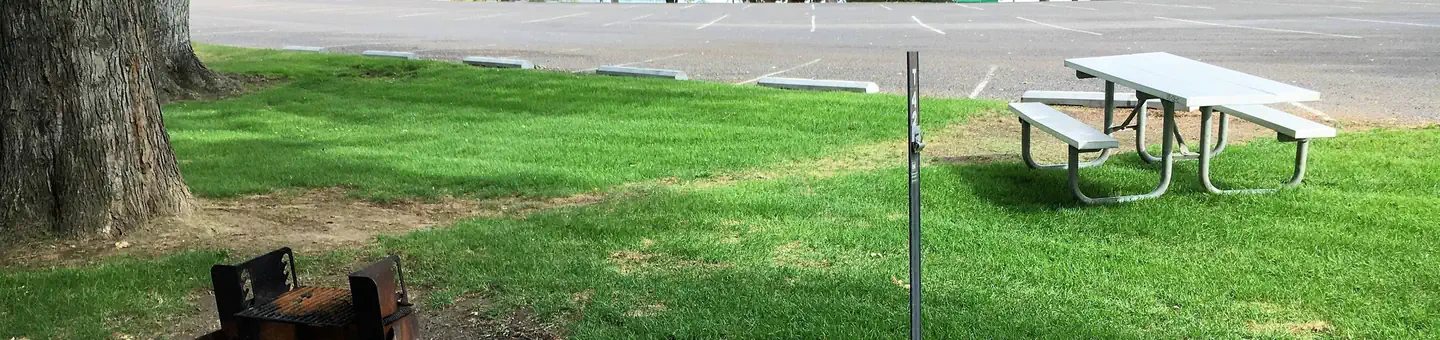Fishhook Park