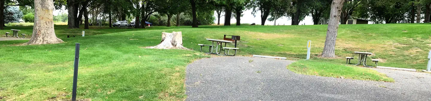 Fishhook Park
