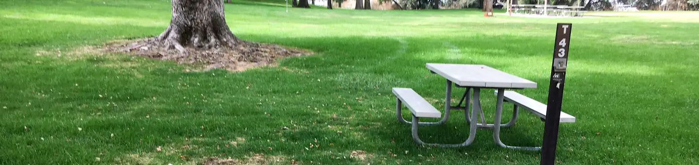 Fishhook Park