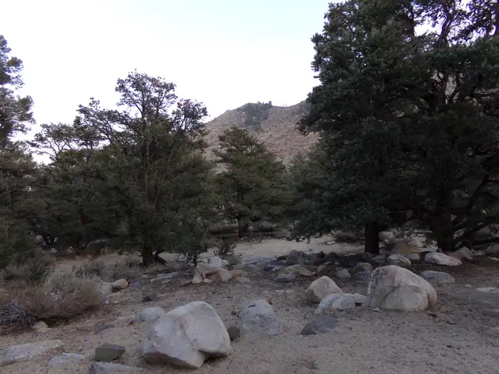 French Camp Campground