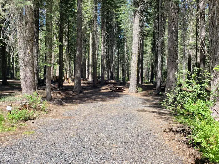 Whitehorse Campground - Bucks Lake Recreation Area