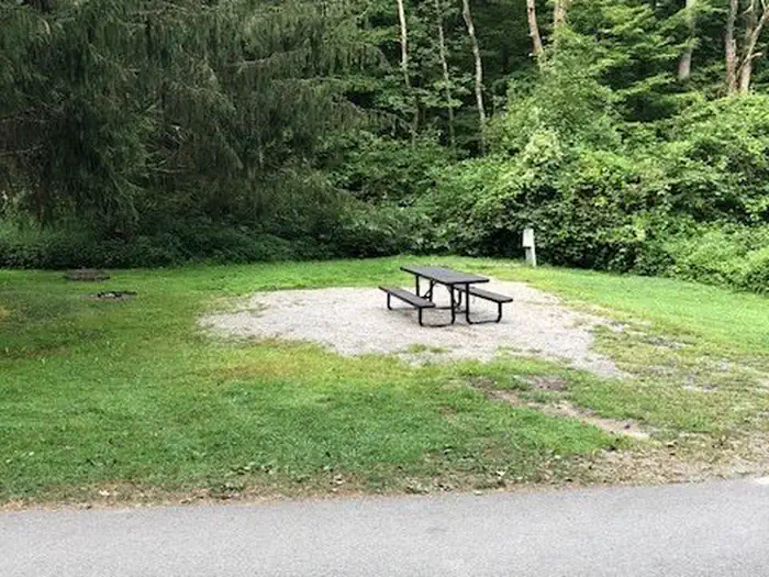 Tionesta Rec. Area Campground