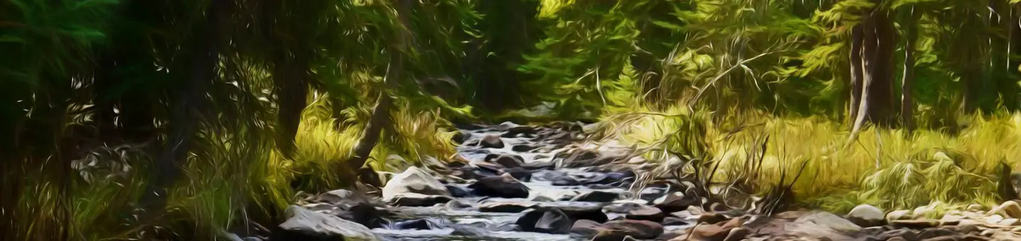 South Fork (wyoming)