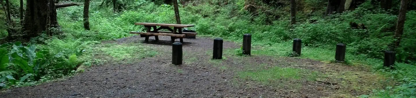 Last Chance Campground