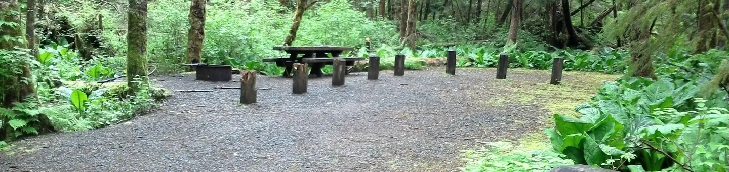 Last Chance Campground