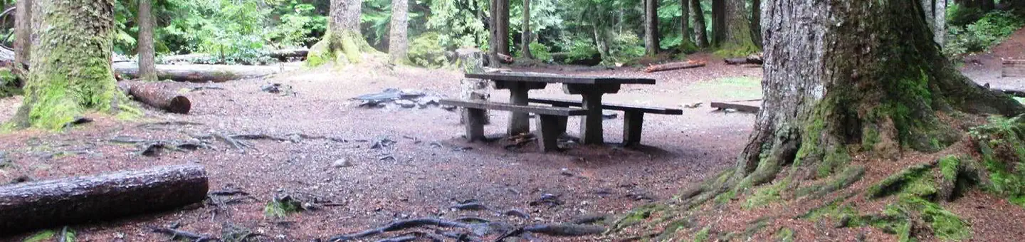 Denny Creek Campground