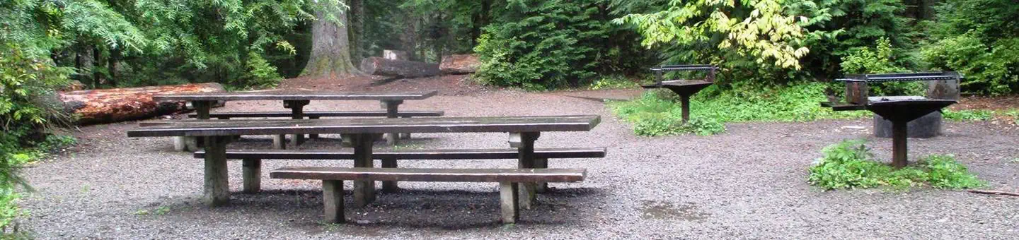 Denny Creek Campground