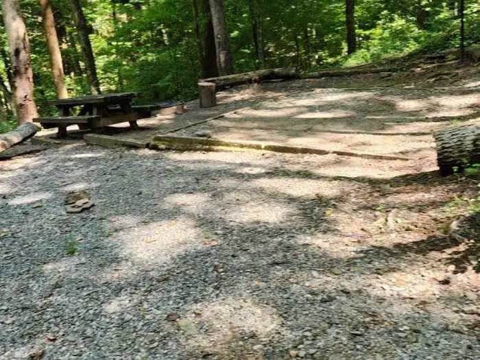 Andrews Cove
