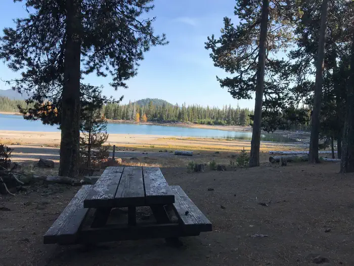 Point Campground - Deschutes