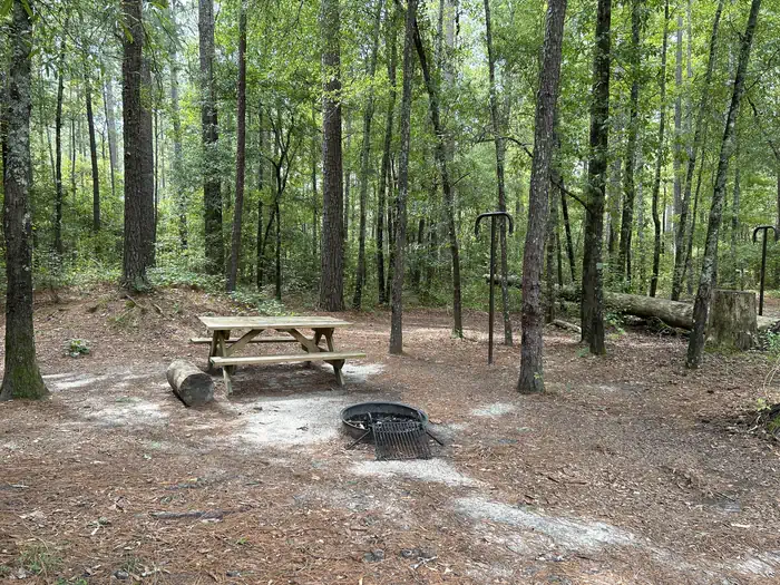 Longleaf - Congaree National Park