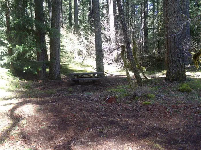 Frissell Crossing Campground