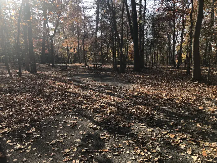 Greenbelt Park Campground