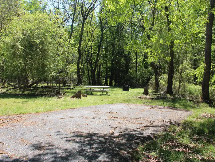 Greenbelt Park Campground