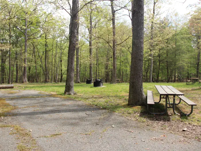 Greenbelt Park Campground