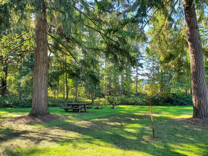 Pine Meadows Campground