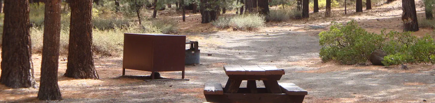 New Shady Rest Campground
