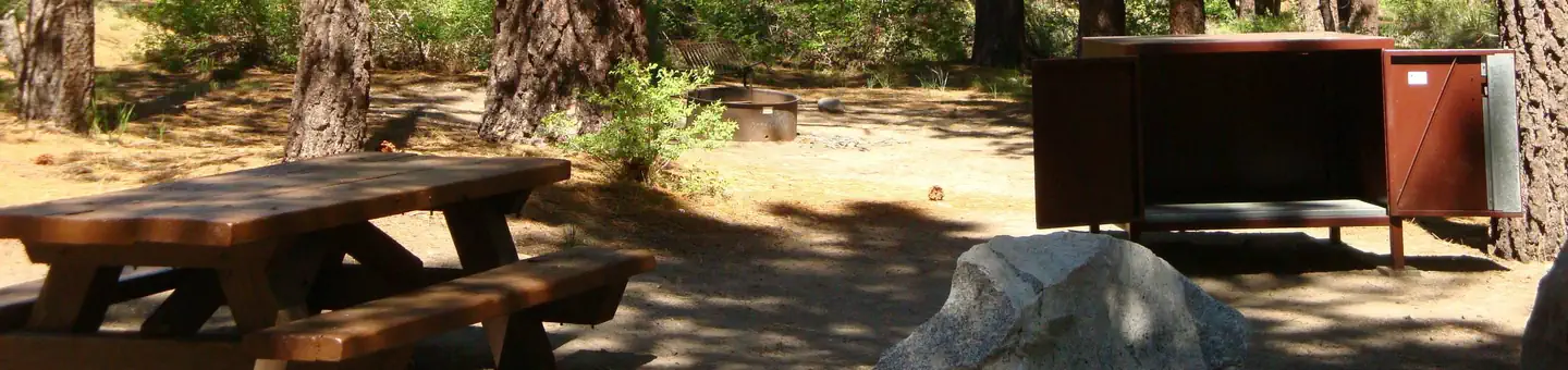 New Shady Rest Campground