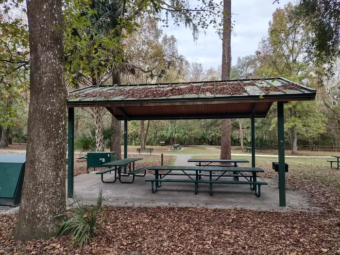 Alexander Springs Recreation Area