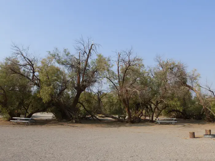 Furnace Creek Campground