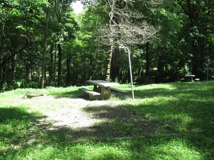 Doughton Park Campground