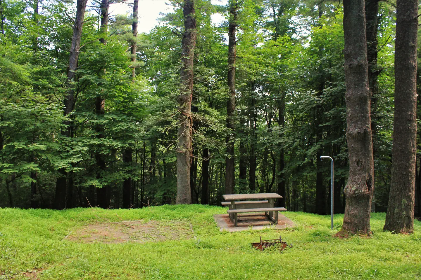 Doughton Park Campground