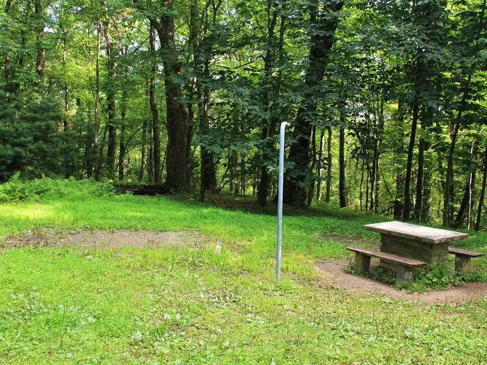 Doughton Park Campground