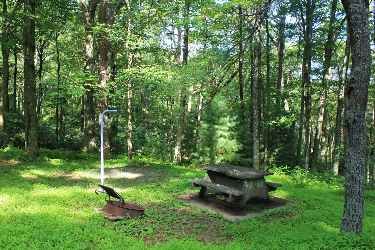 Doughton Park Campground