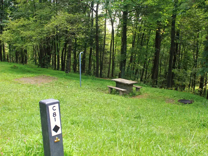 Doughton Park Campground