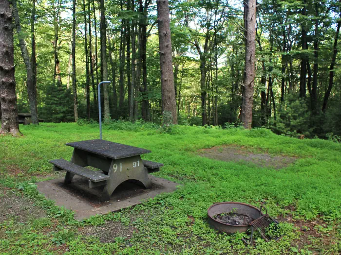 Doughton Park Campground