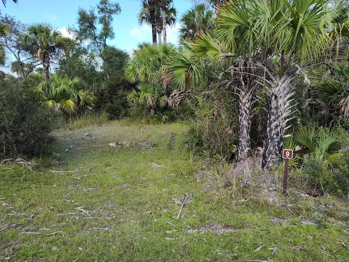 Gator Head Campground