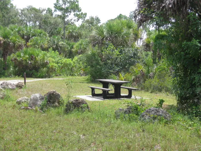 Gator Head Campground